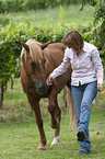 woman with horse