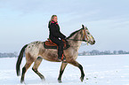 woman rides crossbreed