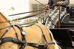 horse and cart