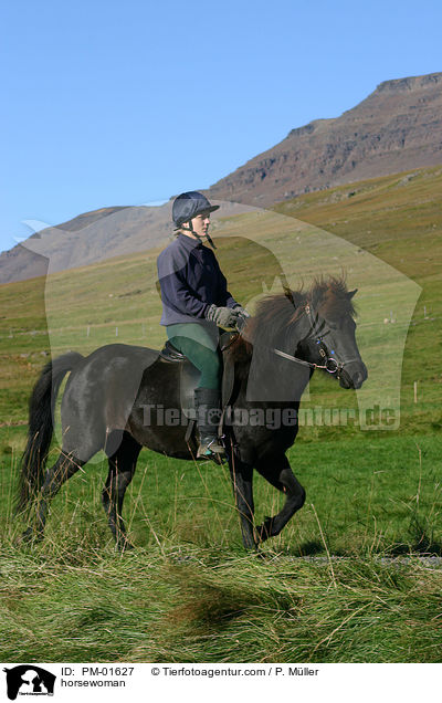 Reiterin auf Islnder / horsewoman / PM-01627