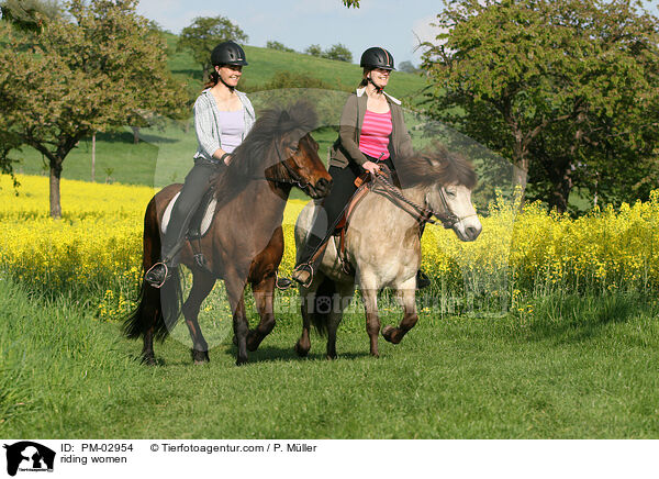 Freizeitreiter / riding women / PM-02954