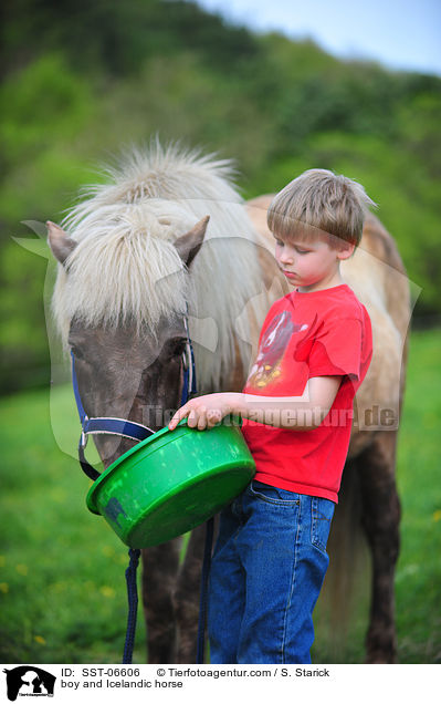 Junge fttert Islnder / boy and Icelandic horse / SST-06606