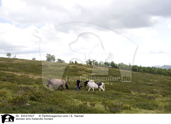 Frauen und Islnder / woman ans Icelandic horses / EH-01607