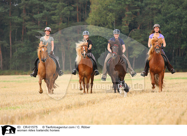 Frauen reiten Islnder / woman rides Icelandic horses / CR-01575