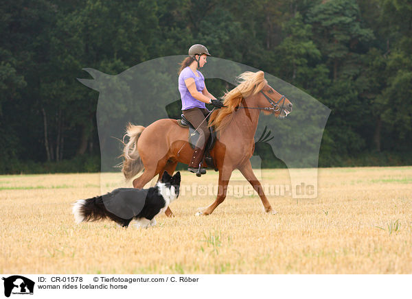 woman rides Icelandic horse / CR-01578