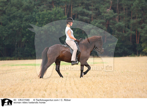 Frau reitet Islnder / woman rides Icelandic horse / CR-01586