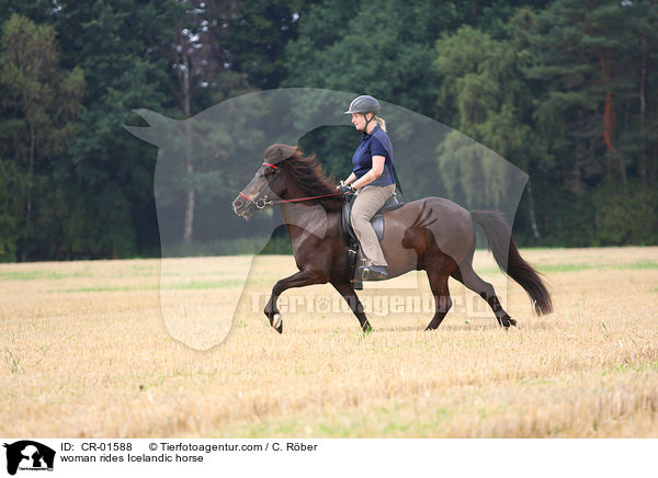 Frau reitet Islnder / woman rides Icelandic horse / CR-01588