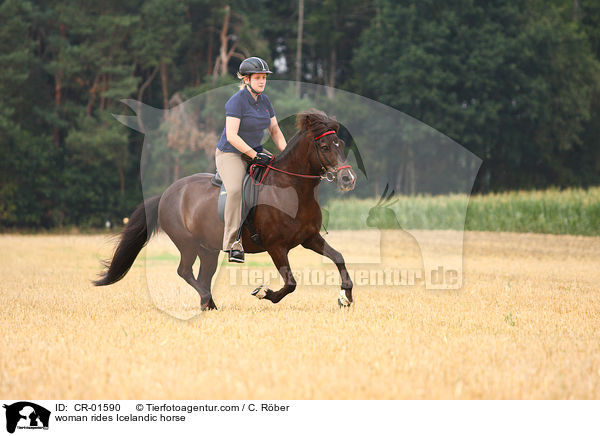 woman rides Icelandic horse / CR-01590