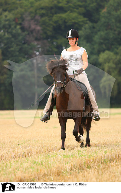 woman rides Icelandic horse / CR-01593