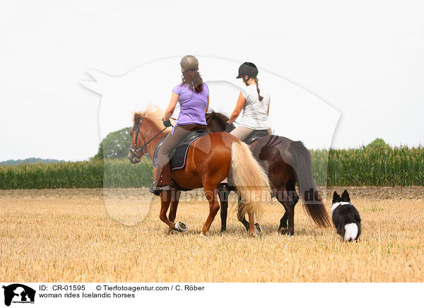 woman rides Icelandic horses / CR-01595