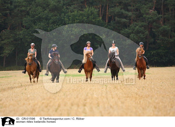 woman rides Icelandic horses / CR-01596