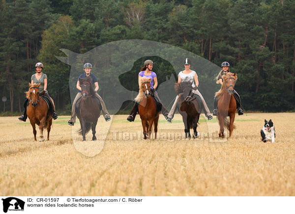Frauen reiten Islnder / woman rides Icelandic horses / CR-01597