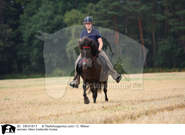 Frau reitet Islnder / woman rides Icelandic horse / CR-01617