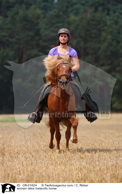 Frau reitet Islnder / woman rides Icelandic horse / CR-01624