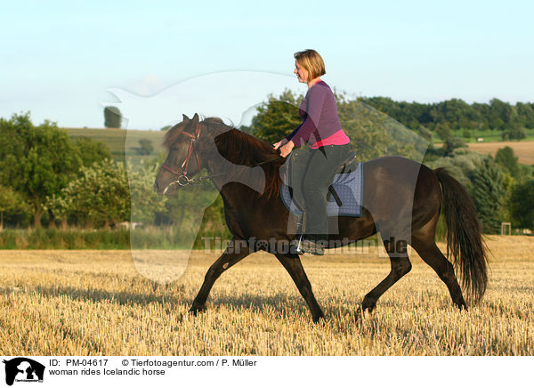 Frau reitet Islnder / woman rides Icelandic horse / PM-04617