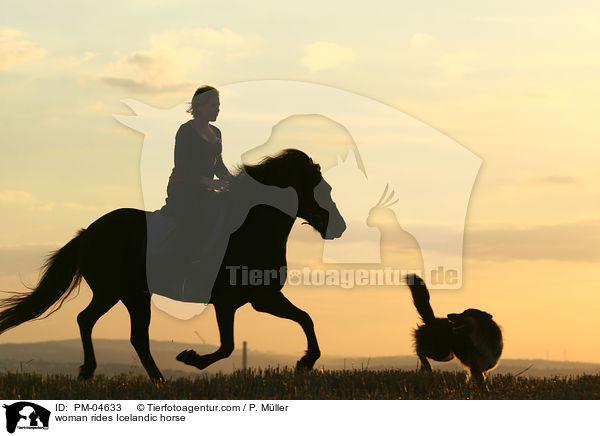 Frau reitet Islnder / woman rides Icelandic horse / PM-04633