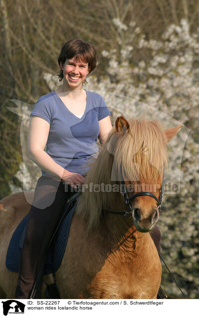 Frau reitet Islnder / woman rides Icelandic horse / SS-22267