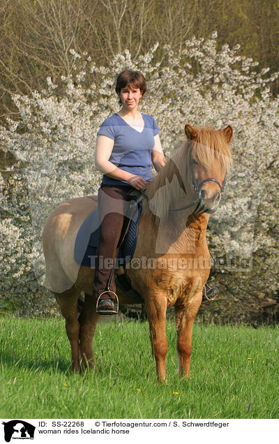 Frau reitet Islnder / woman rides Icelandic horse / SS-22268
