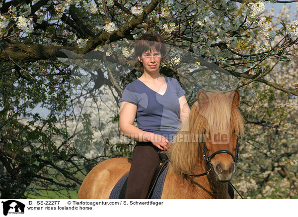 Frau reitet Islnder / woman rides Icelandic horse / SS-22277