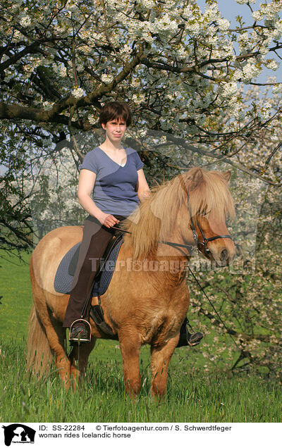 Frau reitet Islnder / woman rides Icelandic horse / SS-22284