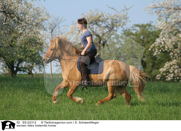 Frau reitet Islnder / woman rides Icelandic horse / SS-22312