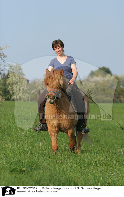 Frau reitet Islnder / woman rides Icelandic horse / SS-22317