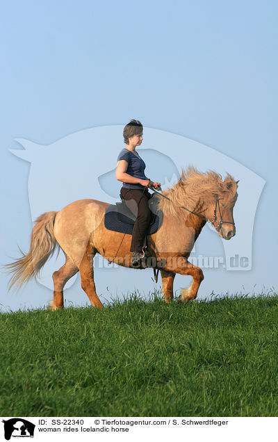 Frau reitet Islnder / woman rides Icelandic horse / SS-22340