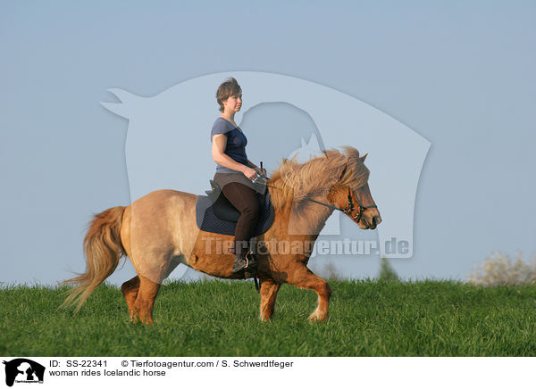 Frau reitet Islnder / woman rides Icelandic horse / SS-22341