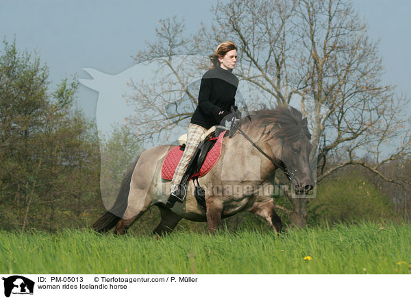 Frau reitet Islnder / woman rides Icelandic horse / PM-05013
