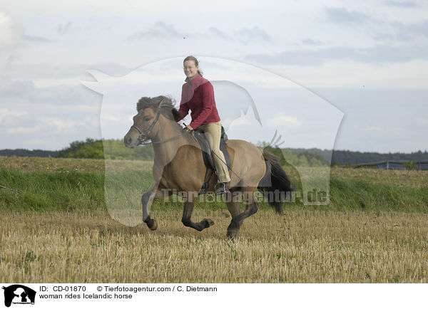 Frau reitet Islnder / woman rides Icelandic horse / CD-01870