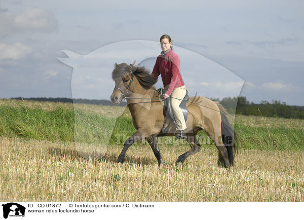 woman rides Icelandic horse / CD-01872
