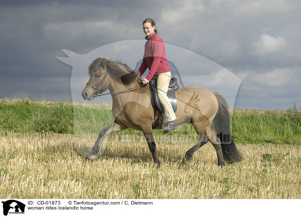 woman rides Icelandic horse / CD-01873