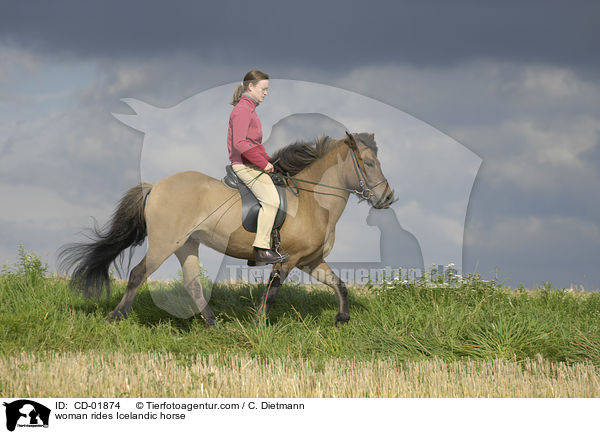 woman rides Icelandic horse / CD-01874