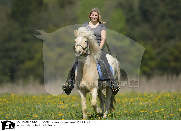 Frau reitet Islnder / woman rides Icelandic horse / DMS-07461