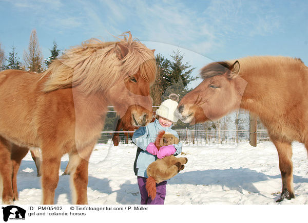 Mdchen und Islnder / girl and Icelandic horses / PM-05402
