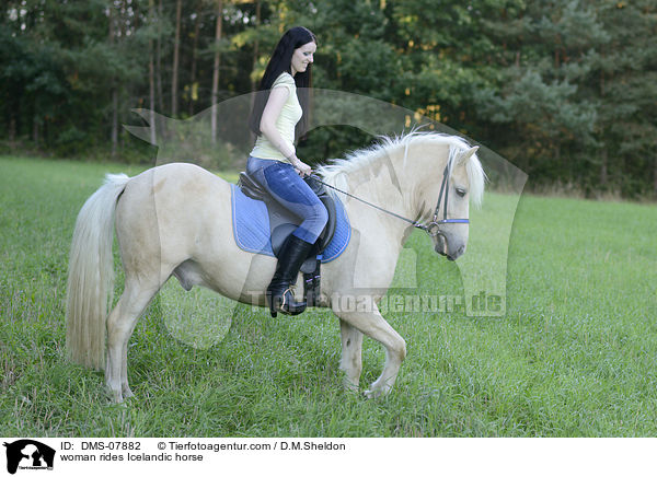 Frau reitet Islnder / woman rides Icelandic horse / DMS-07882