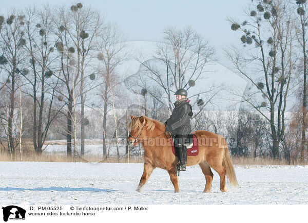 woman rides Icelandic horse / PM-05525