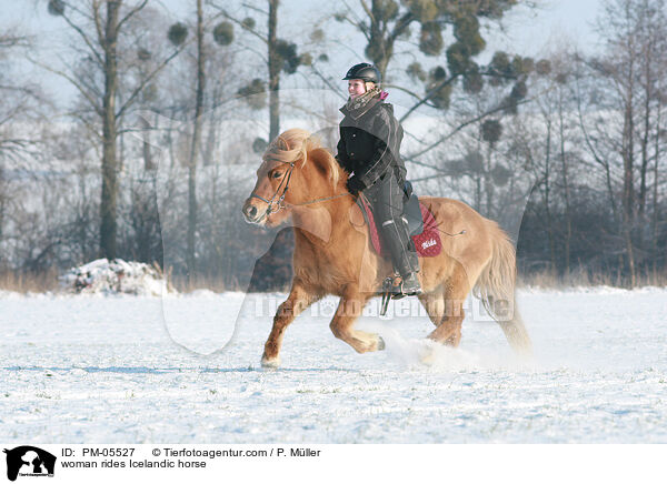 woman rides Icelandic horse / PM-05527