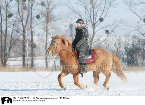 Frau reitet Islnder / woman rides Icelandic horse / PM-05528