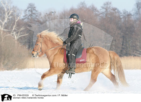 woman rides Icelandic horse / PM-05529