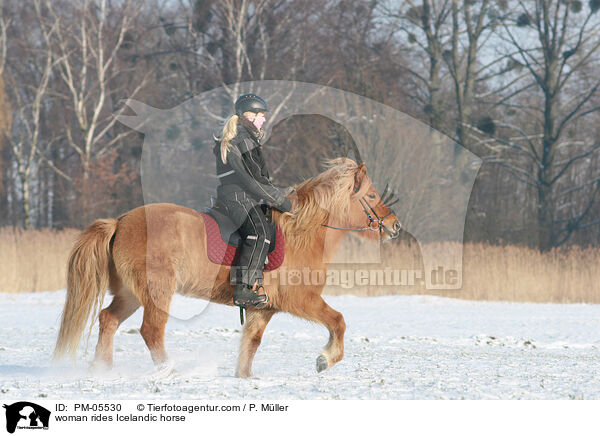 woman rides Icelandic horse / PM-05530