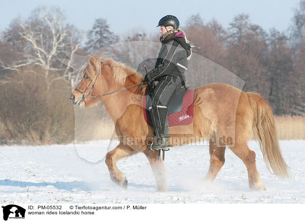 woman rides Icelandic horse / PM-05532