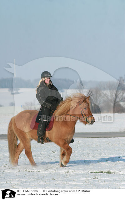 woman rides Icelandic horse / PM-05535