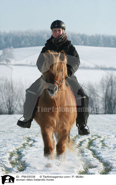 Frau reitet Islnder / woman rides Icelandic horse / PM-05536