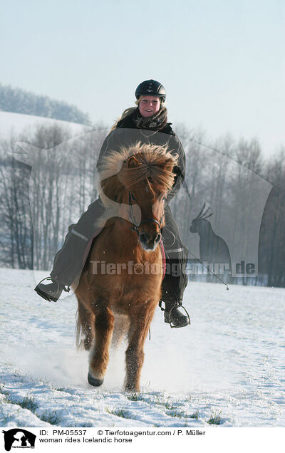 woman rides Icelandic horse / PM-05537