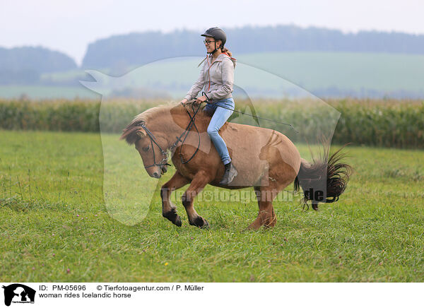 Frau reitet Islnder / woman rides Icelandic horse / PM-05696