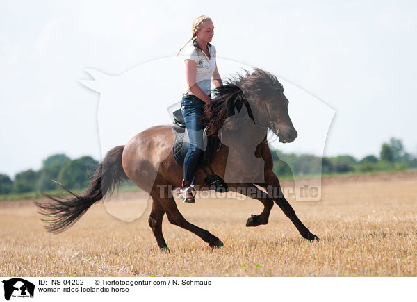 Frau reitet Islnder / woman rides Icelandic horse / NS-04202