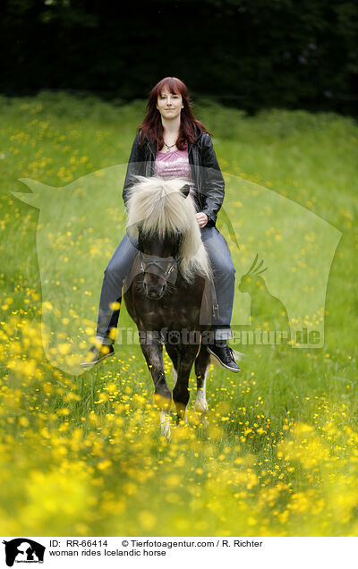 Frau reitet Islnder / woman rides Icelandic horse / RR-66414