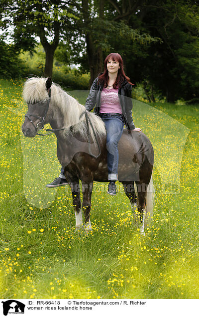 Frau reitet Islnder / woman rides Icelandic horse / RR-66418