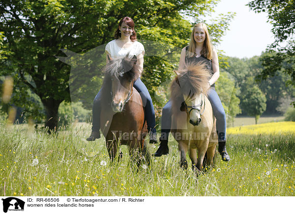 Frauen reiten Islnder / women rides Icelandic horses / RR-66506